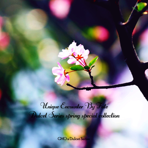 内容平台小狐导航
