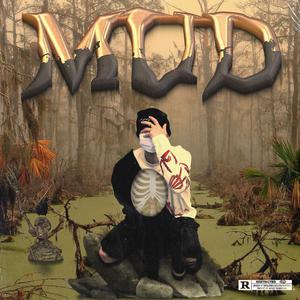 内容平台小狐导航
