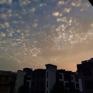 内容平台小狐导航
